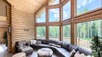 智能电视、壁炉