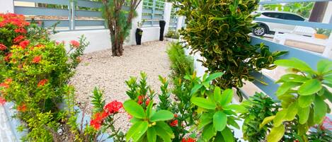 المنطقة المحيطة بالمنشأة