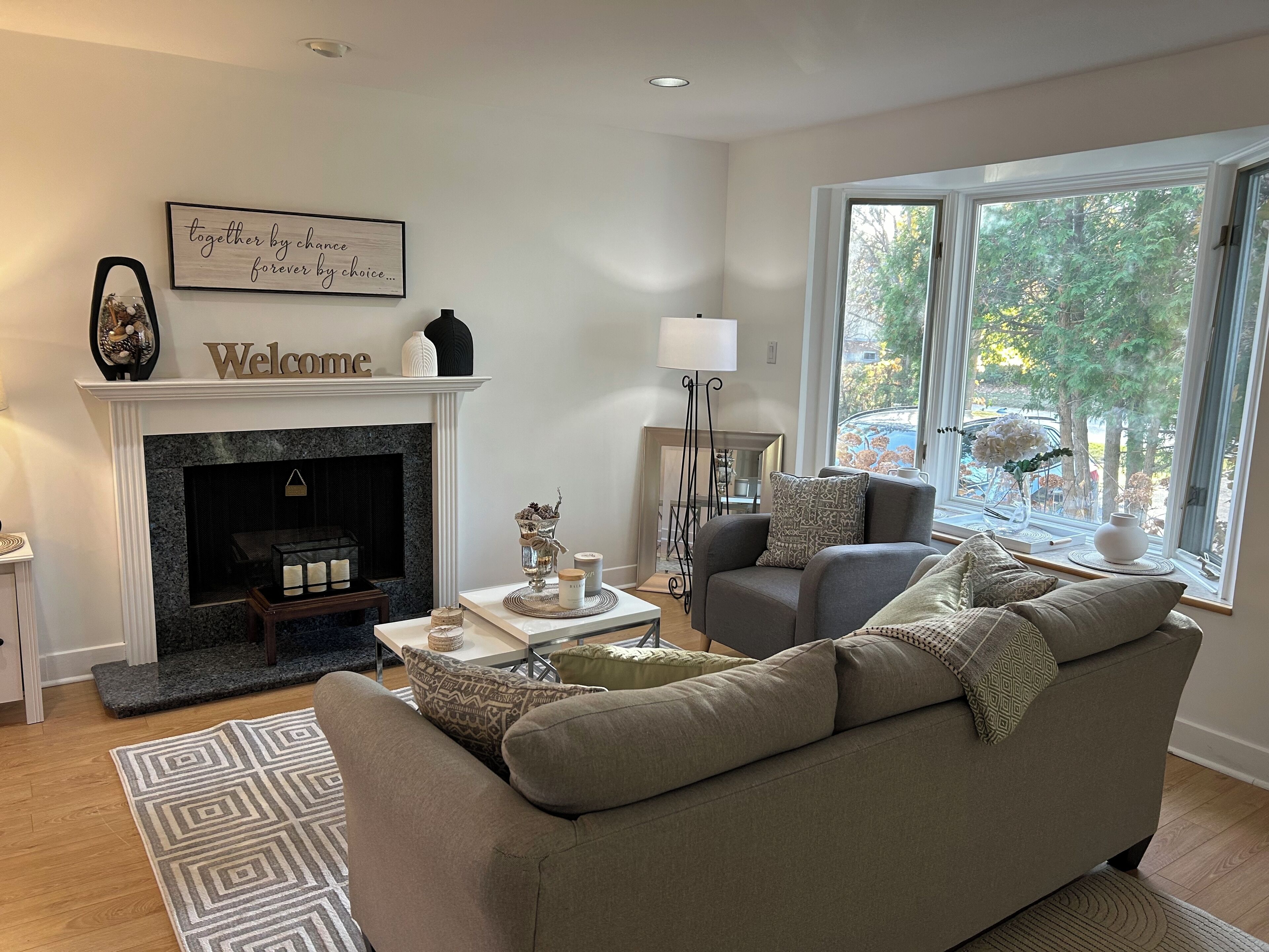 Älytelevisio, takka, videopelejä, kirjoja