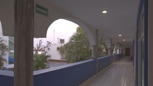 Eksteriør