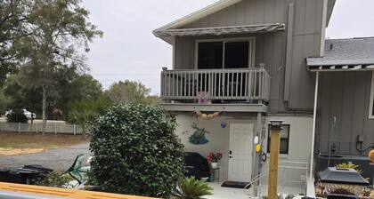 A Hidden Treasure: Spacious Studio with private entrance. Guests hate to leave.