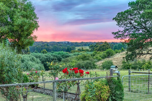 Property grounds - Historic Bluestone Cottage in Creswick EST 1860 (Creswick)