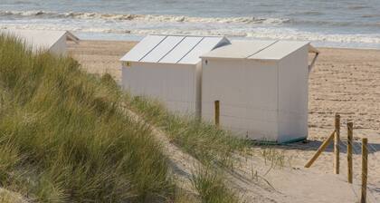 Orchidee 002 - cozy app on ground floor by Interhome