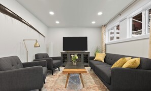 Smart TV, fireplace, books, stereo