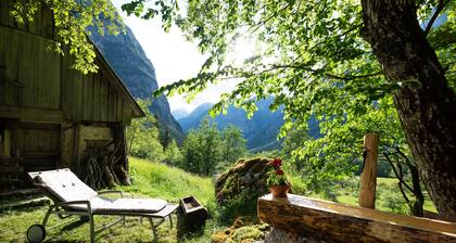 Private Alpine house Antonia with mountain views