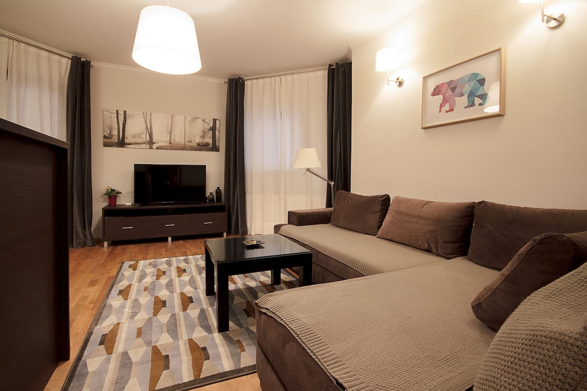 Una sala de estar moderna con un sofá, una mesa de centro, un televisor de pantalla plana y una alfombra estampada.