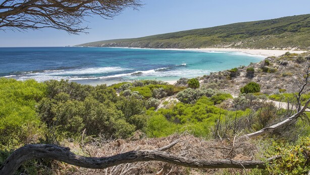 A coastal landscape with a beach, dense greenery, and a clear sky. - Villa 17  Beaches Bush Wineries and more (Dunsborough)