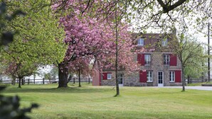 Ein Steinhaus mit roten Fensterläden und ein großer Baum mit rosa Blüten vor der Fassade.
