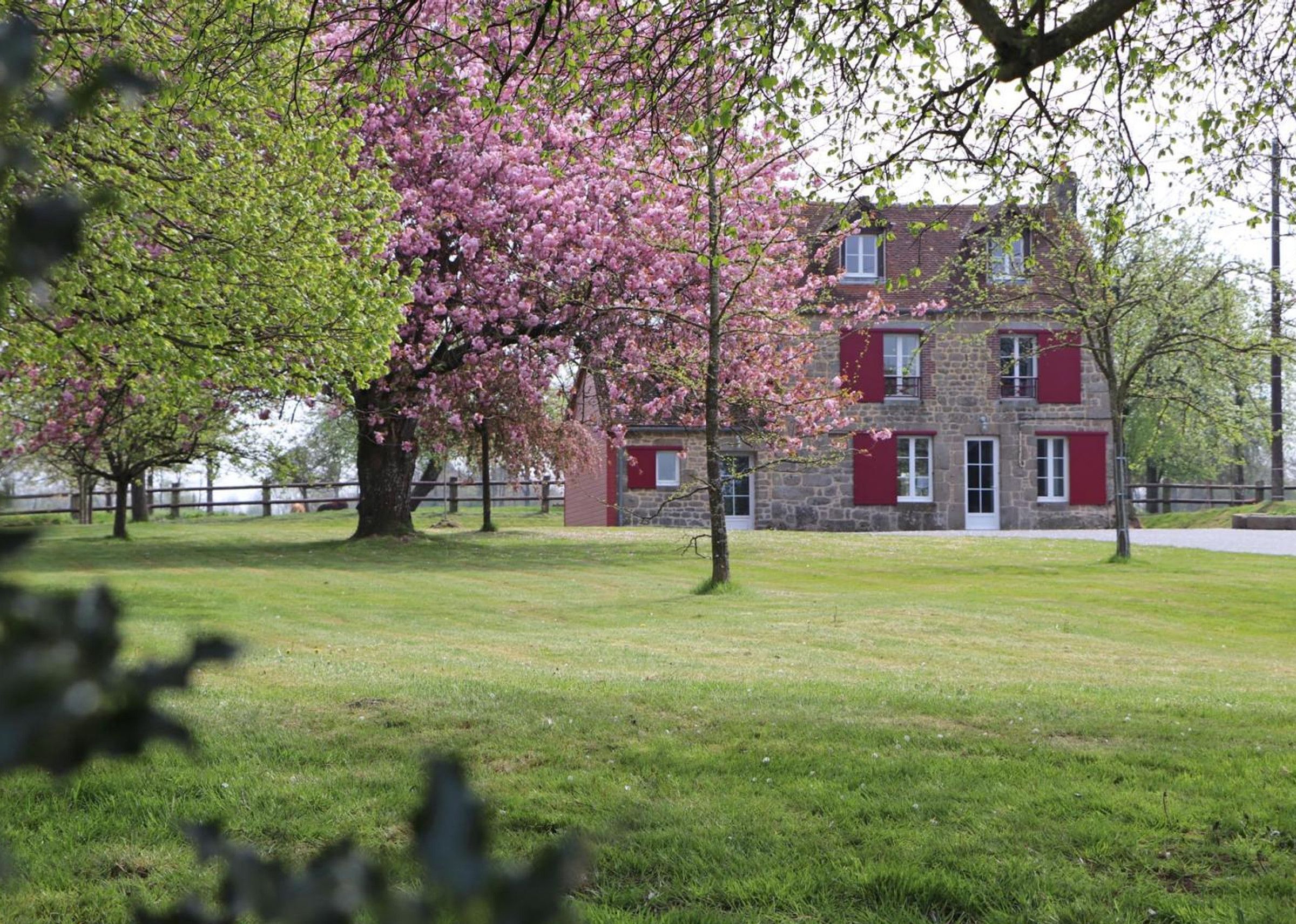 A stone building with red shutters and a large tree with pink blossoms in front.