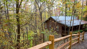 A rustic cabin surrounded by a dense forest.