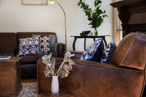 TV connectée, cheminée, lecteur de DVD