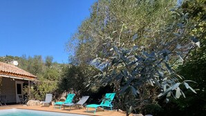 A swimming pool with lounge chairs, a potted plant, and white pebbles.