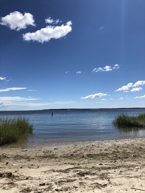 A beach with clear skies, calm water, and sparse vegetation.