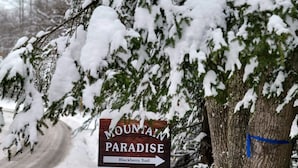A wooden sign with white lettering indicating 'Mountain Paradise' and 'Blackberry Trail' to the right. - The Wildflower Cottage at Mountain Paradise (French Creek)