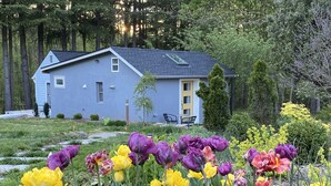 A house with a grey exterior and a dark roof, surrounded by a garden with purple and yellow tulips.