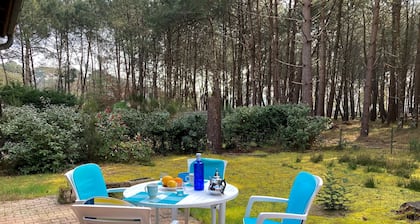 Maison le Pic Vert by Agence Bru - 342558