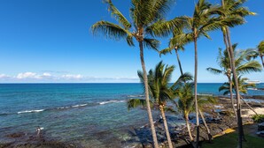 A beach with palm trees, clear blue water, and rocky shoreline. - 🌊Kona Bali Kai #305 | Absolute Oceanfront | AC | Updated | Overlooking Banyans surf spot.🌊 (Kailua Kona)