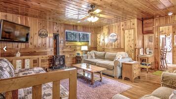 Smart TV, fireplace, books