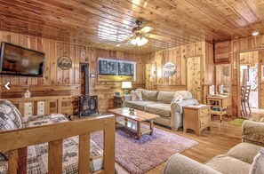 Smart TV, fireplace, books