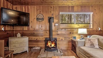 Smart TV, fireplace, books