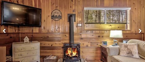 Smart TV, fireplace, books