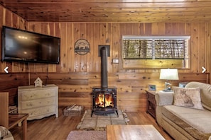 TV connectée, cheminée, livres
