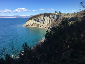 Paisagem costeira com falésias, uma praia e uma cidade ao longe.