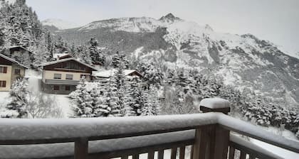 La Norma Balcons Vanoise 2* 38m2 apartment 300m from slopes and lifts.