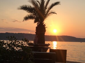 A sunset over a calm lake with a palm tree in the foreground. - Apartment Lighthouse &free Parking in Izola-isola (Izola)