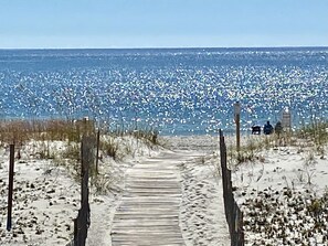 A sandy beach path leading to the ocean with a fence on either side.