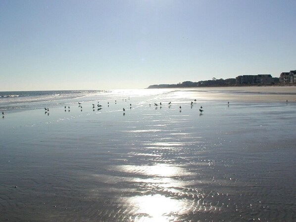 Una playa con una amplia extensión de arena, cielo despejado y algunos edificios a lo lejos.