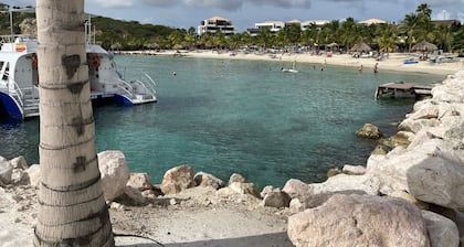 The Shore Luxury Ocean/Beachfront Apt Blue Bay Golf and Beach Resort
3rd Floor