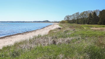 Playa en los alrededores y pesca