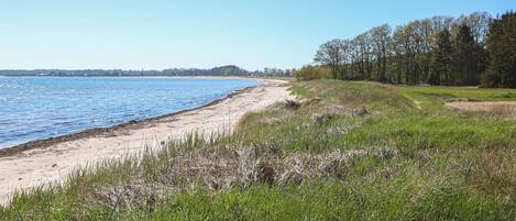 In Strandnähe, Angeln