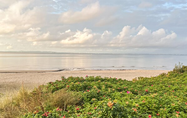 Playa en los alrededores y pesca 