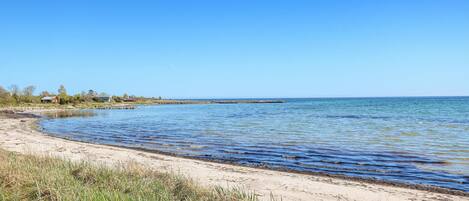 Plage Ă proximitĂ©, pĂȘche sur place