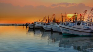 Several fishing boats docked at a harbor during sunset.