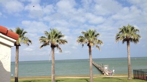 A view of a beach with palm trees and a pier.