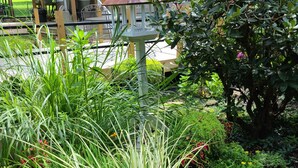 A garden with various plants and a birdhouse. - The Corner Shed- Norris Lake or the Mountains (Jacksboro)