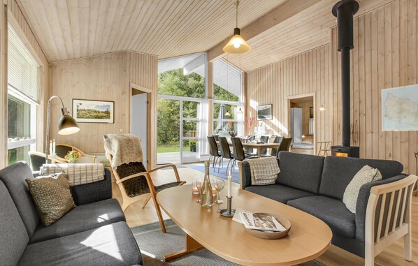 تلفزيون، مدفأة