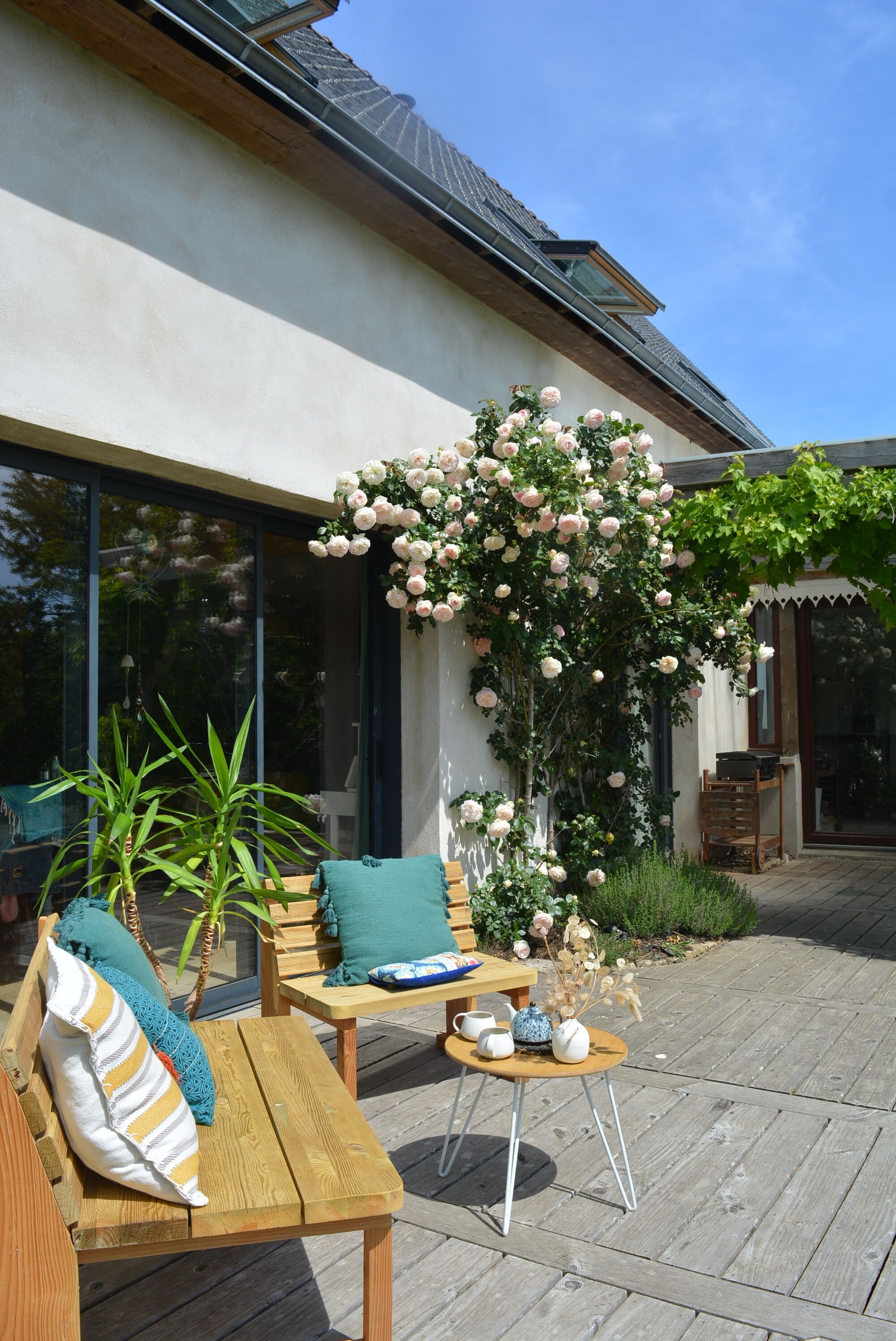 Terras