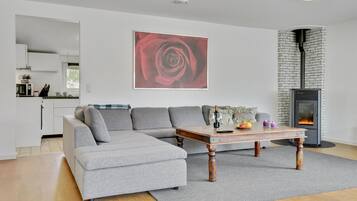 Una televisión, una chimenea