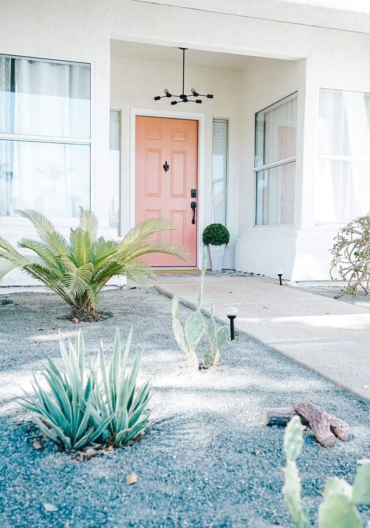 A building with a pink door, a small potted plant, and a cactus in the foreground.