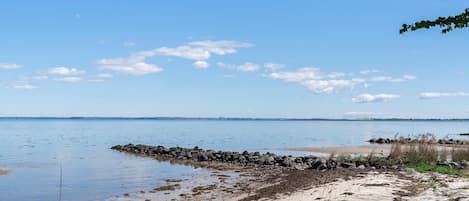 Playa en los alrededores y pesca