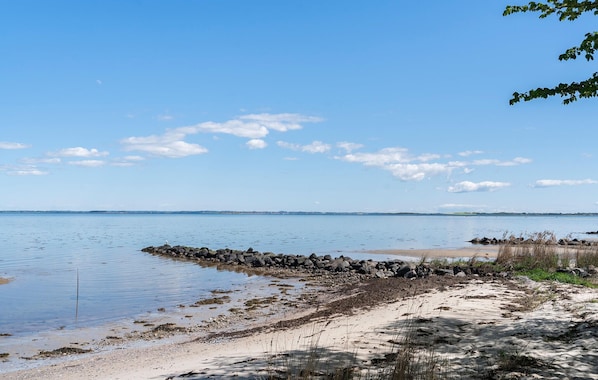 Tæt på stranden, fiskeri