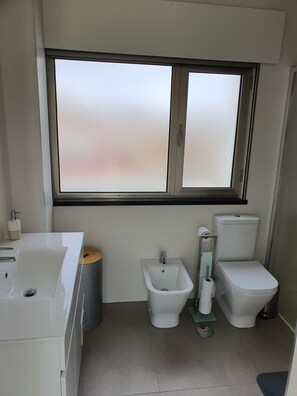 Shower, hair dryer, bidet, towels