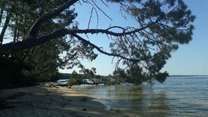 A beach with a fallen tree over the water, clear skies, and calm sea. - Pleasant Villa Domaine du Golf Heated swimming pool (Biscarrosse)