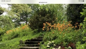 A stone staircase surrounded by lush greenery and orange flowers.