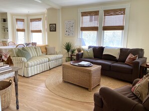 Smart TV, DVD player, books, video library