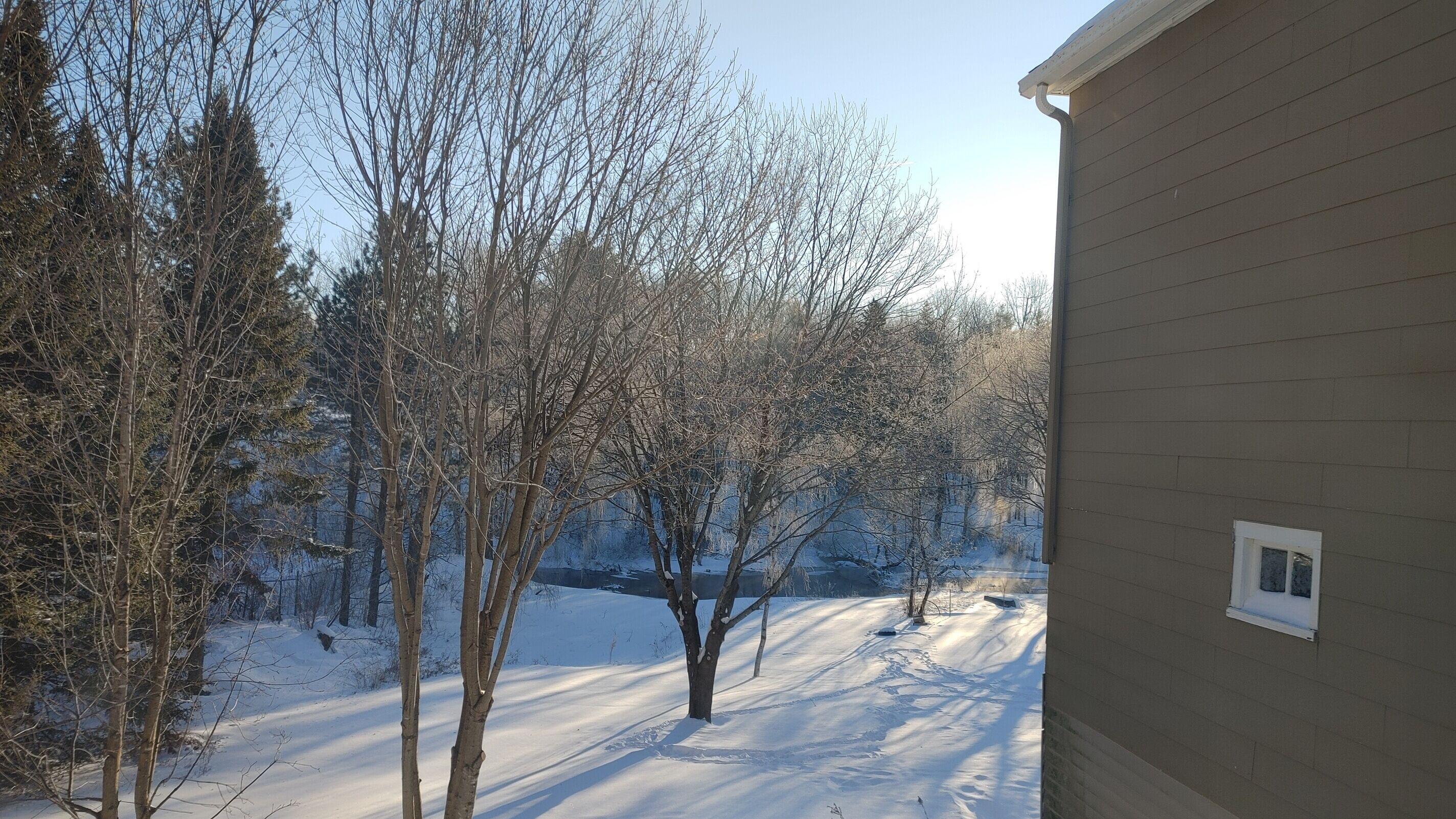 A snow-covered landscape with bare trees and a house.